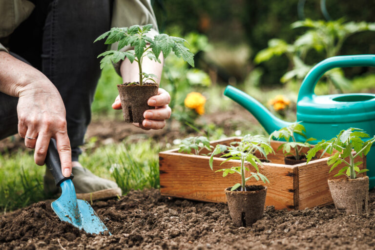 The January Garden Checklist Every Gardener Should Follow (Even When Nothing Is Growing)