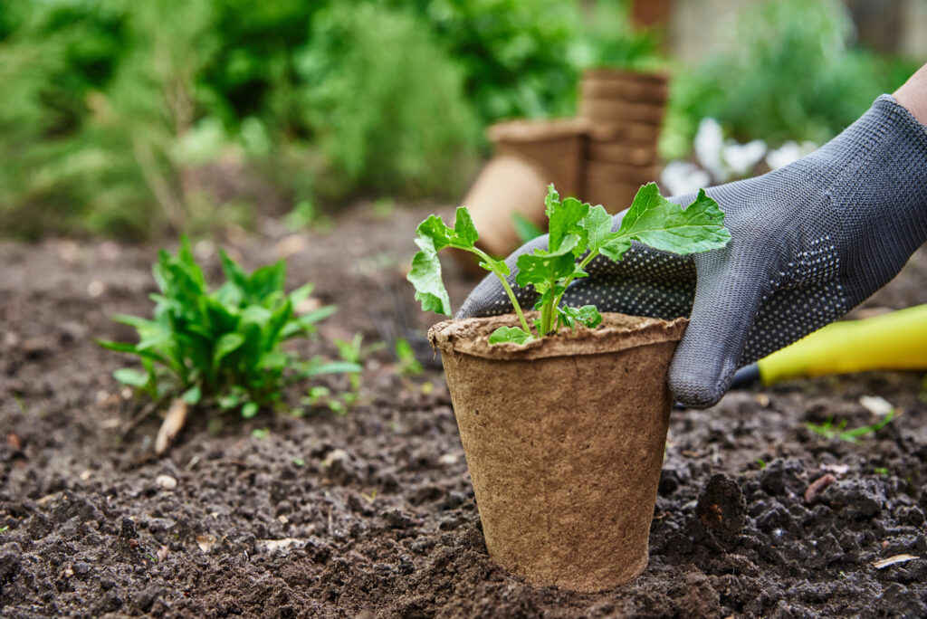 The gardening trends for 2026 that prioritize soil health, pollinators, and sustainability 1 gardening