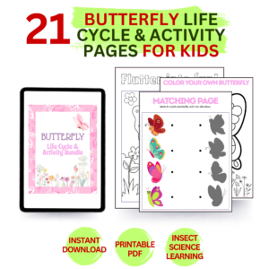 Butterfly life cycle activity bundle printable PDF with 21 worksheets for kids