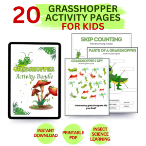 Grasshopper Activity Bundle Printable Worksheets Preview