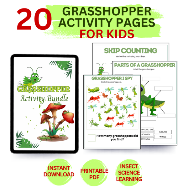 Grasshopper Activity Bundle For Kids, Insect Worksheets Printable, Life ...