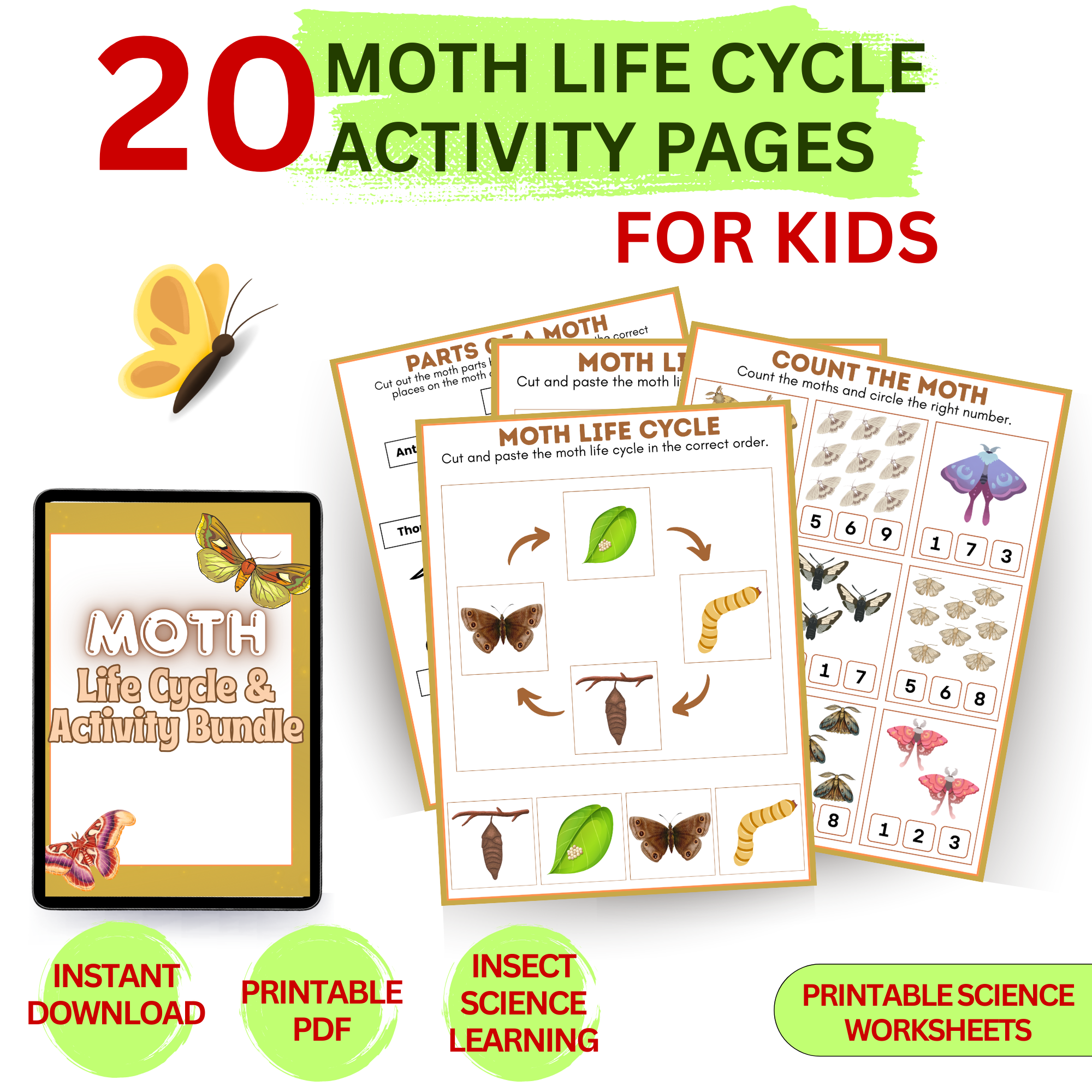 Moth life cycle activity pack for kids showing printable worksheets including moth life cycle diagram