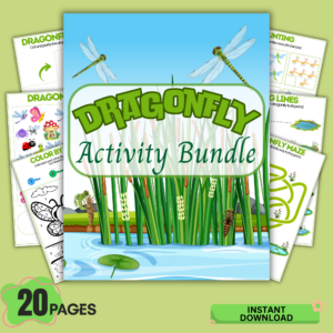 dragonfly activity bundle printable pdf for kids with 20 pages preschool worksheets coloring tracing counting and games