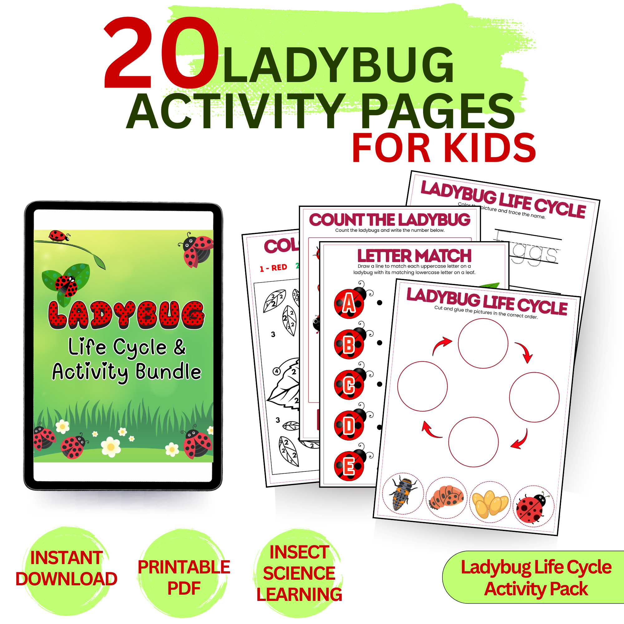 Ladybug life cycle activity pack for kids featuring printable insect science worksheets and learning activities.