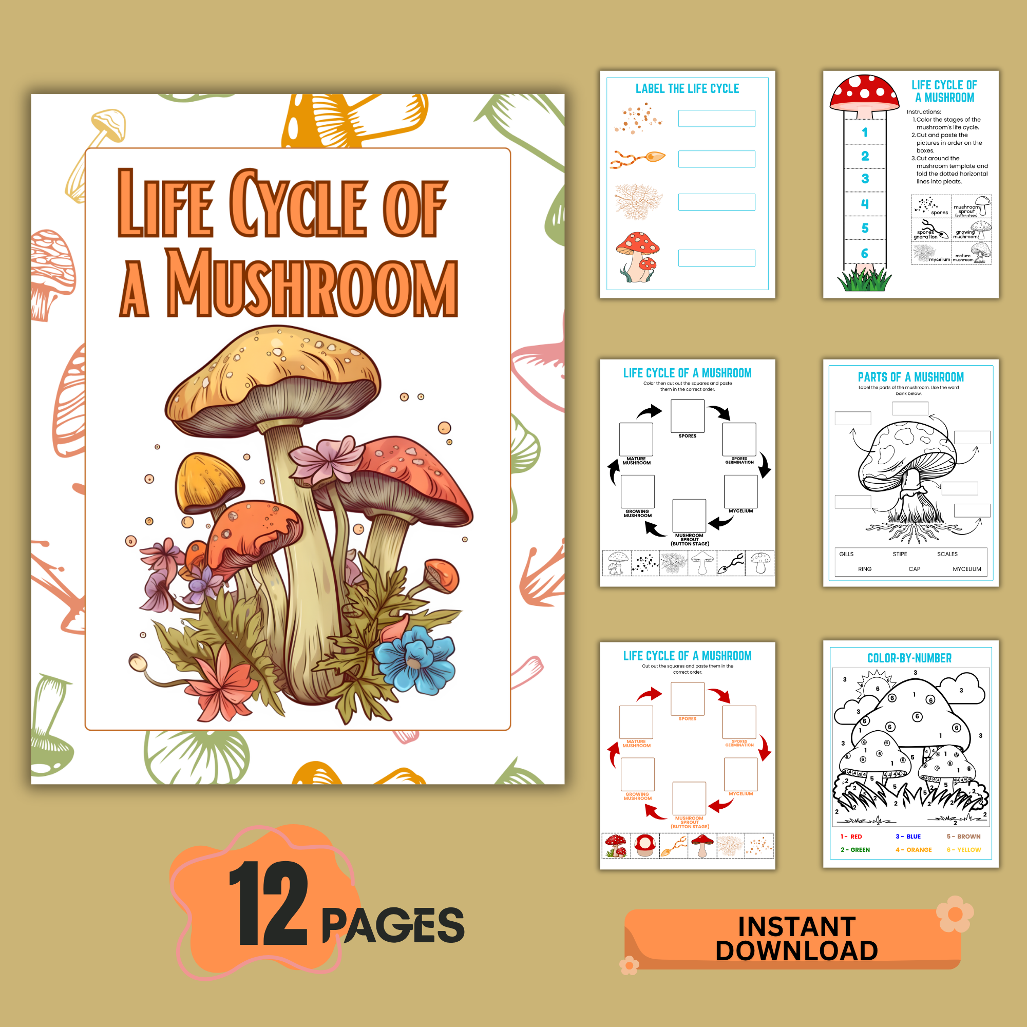 life cycle of a mushroom worksheet pdf for kids science printable instant download