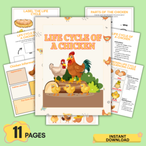 life cycle of a chicken printable worksheets for kids homeschool science activity pdf