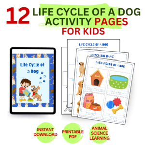 Dog life cycle activity pack for kids featuring printable worksheets about puppy growth stages and animal science learning activities.