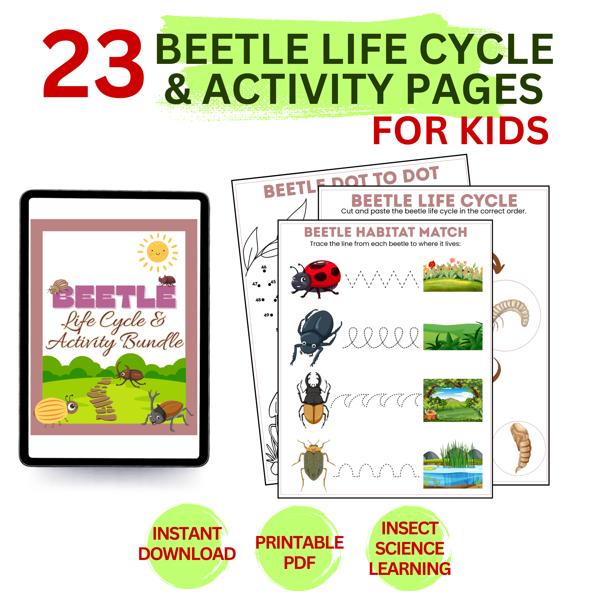 Preview of beetle life cycle printable worksheets including maze