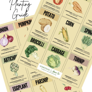 Companion Planting Guide
