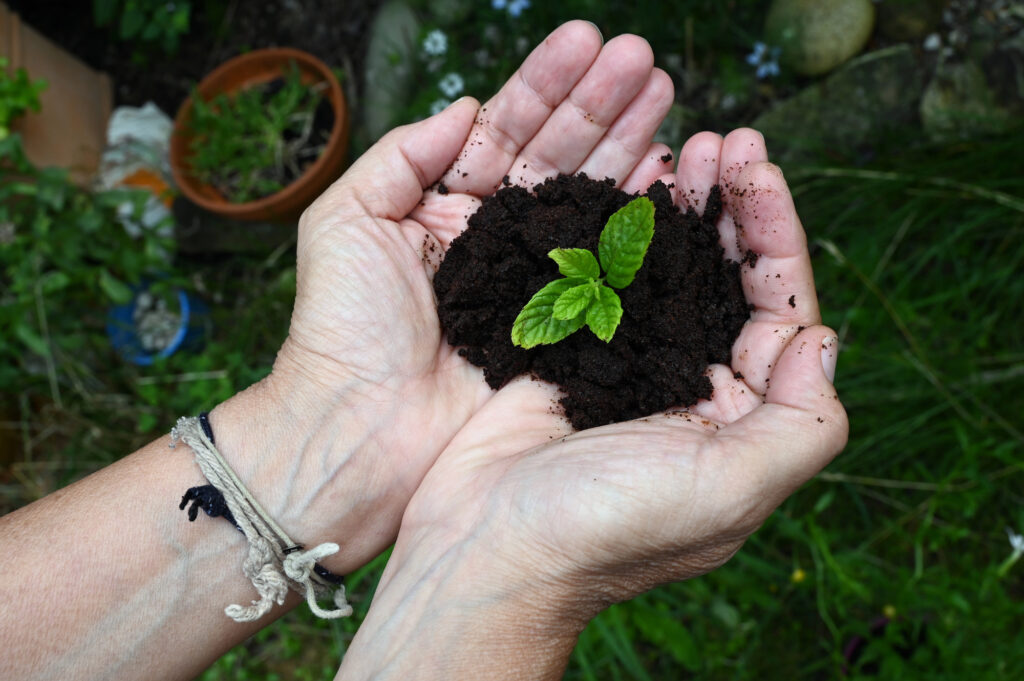 11 Simple Garden Ingredients That Make a Big Difference 1 Coffee Grounds