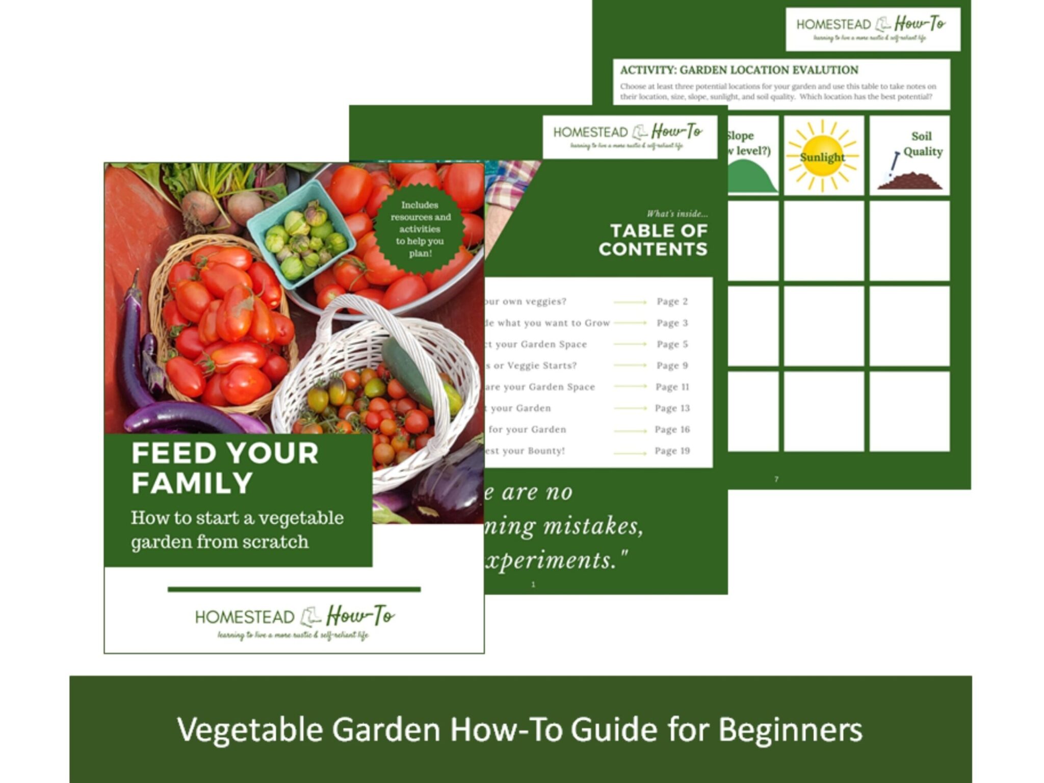 How To Start A Vegetable Garden From Scratch (E-book + GARDEN PLANNER ...