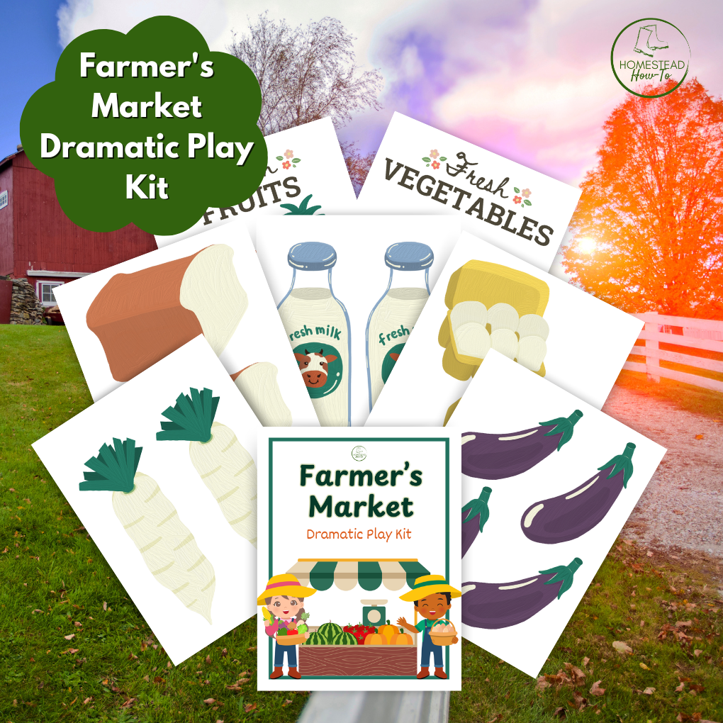 Farmer’s Market Dramatic Play Kit