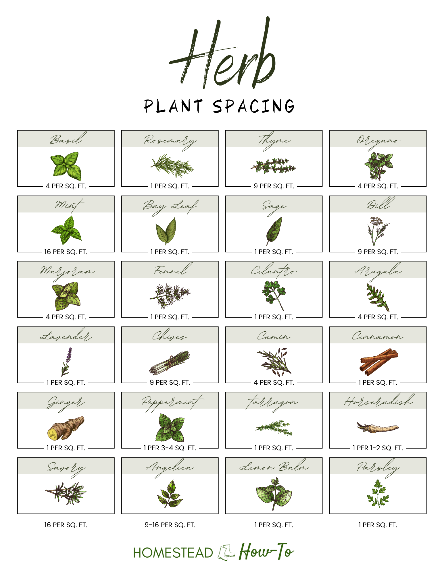 Herb Garden Spacing Guide 2 Herb Garden Spacing Guide - Image 2
