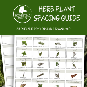 Herb Garden Spacing Guide