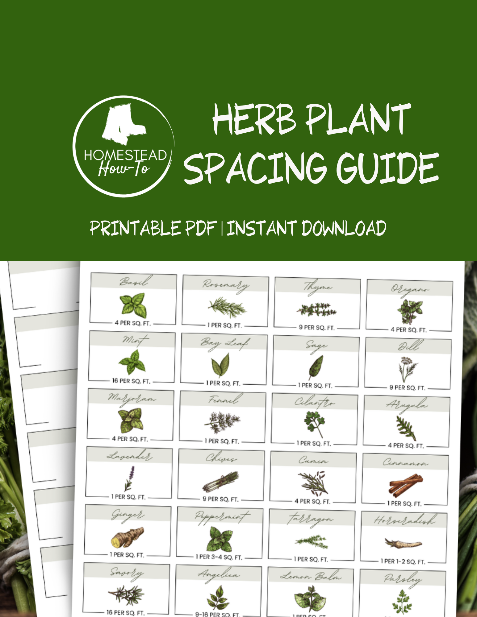 Herb Garden Spacing Guide 1 Herb Garden Spacing Guide