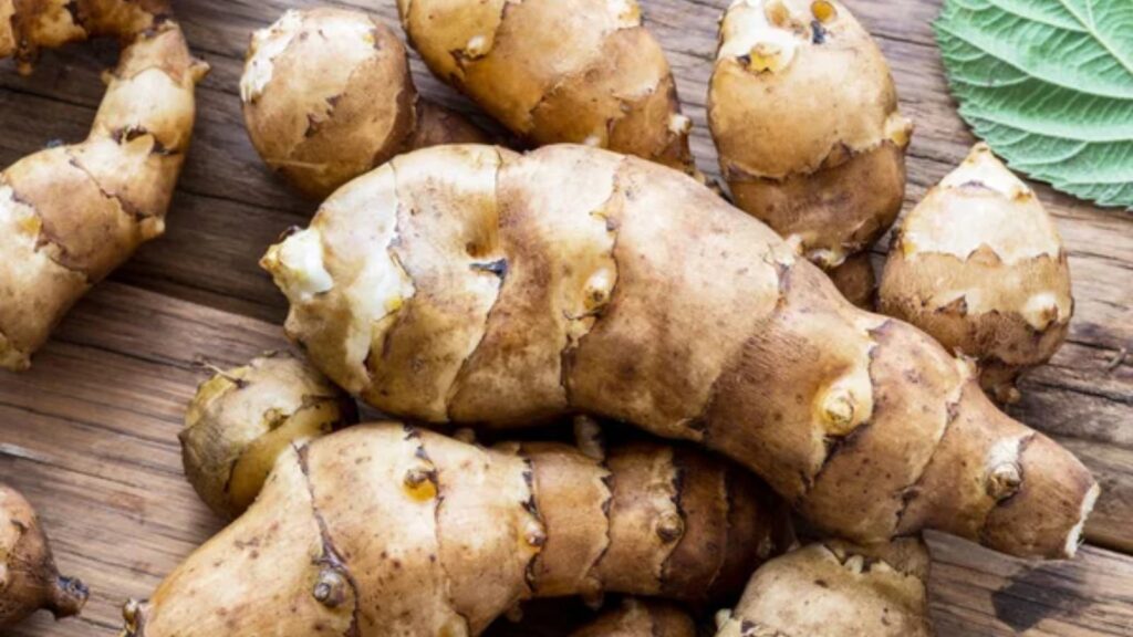 Plant These 15 Perennial Veggies and Enjoy Harvests Every Year 1 Jerusalem Artichoke
