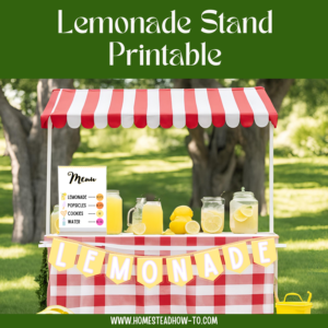 Summer Lemonade Stand and DIY Kit