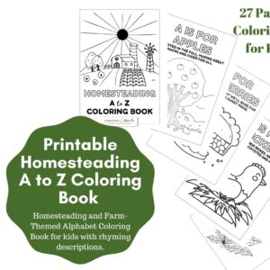 homestead coloring book - featured