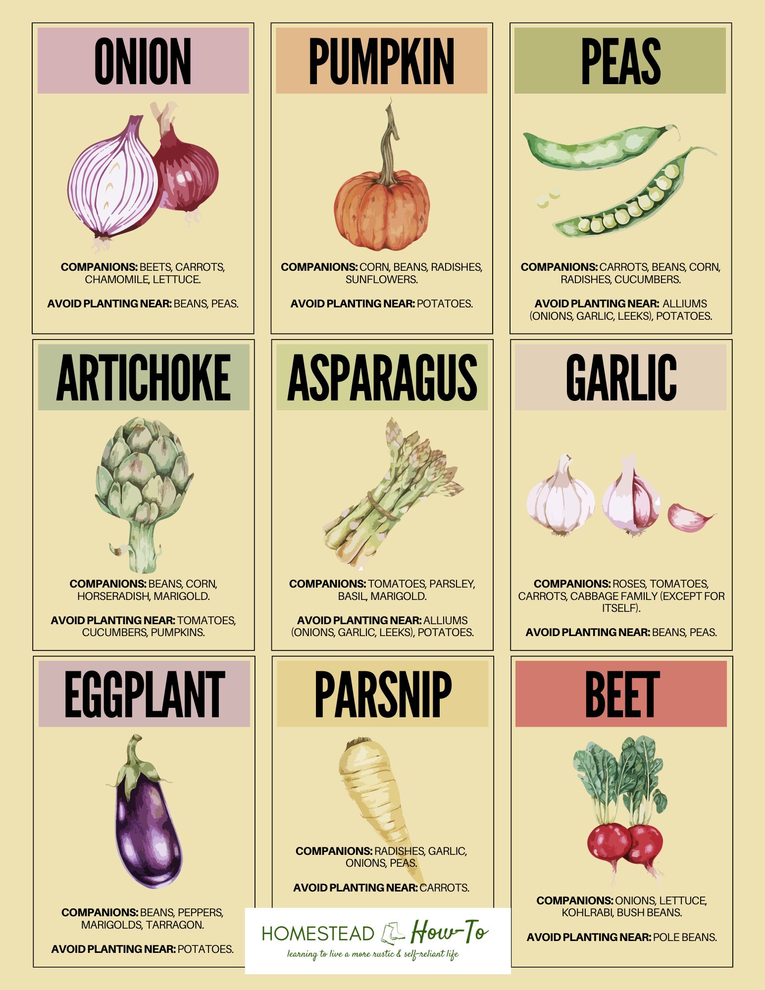 Companion Planting Guide 3 Companion Planting Guide - Image 3