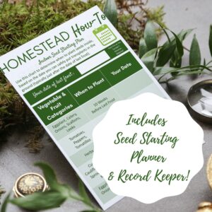 seed starting plan