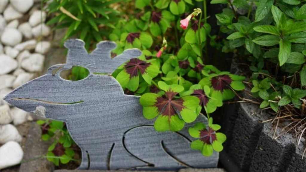 13 Beautiful Purple and Green Leaf Plants That Instantly Brighten Your Home or Yard 1 Iron Cross