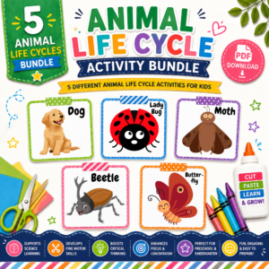Animal life cycle printable activity bundle for preschool and kindergarten kids.