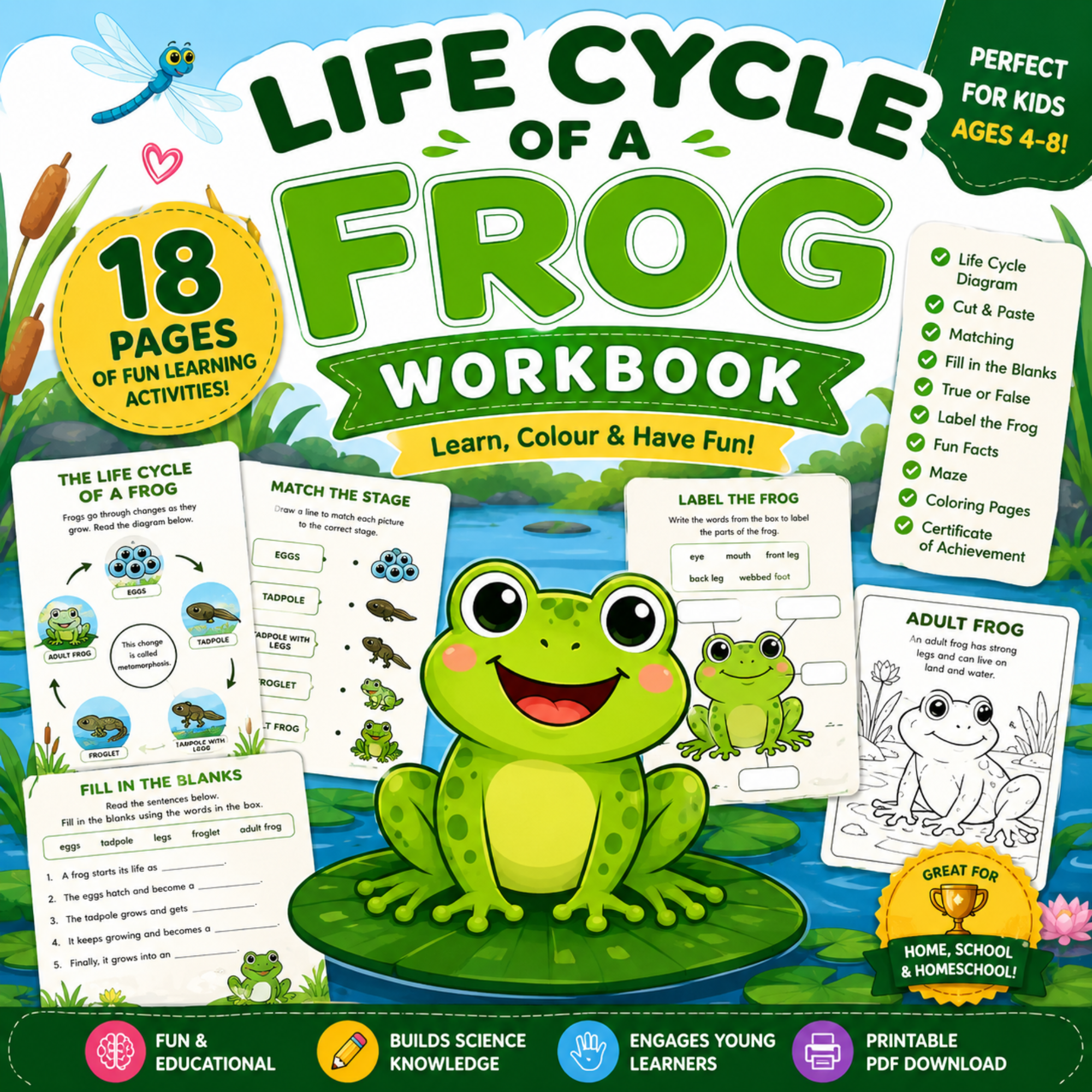Life Cycle of a Frog Workbook Printable | 18 Science Activities for Kids PDF 1 Colorful hero image for a printable Life Cycle of a Frog Workbook featuring a smiling cartoon frog, activity worksheet previews, educational icons, and an 18-page instant PDF download for preschool and kindergarten students.