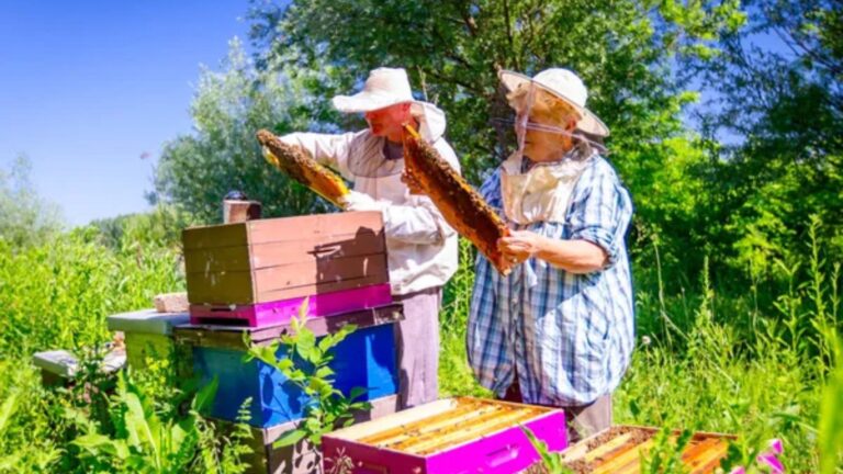 21 Self-Sufficiency Skills People Used Before Modern Convenience