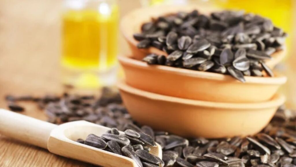 10 Best Things to Put in Your Bird Feeder for More Feathered Guests