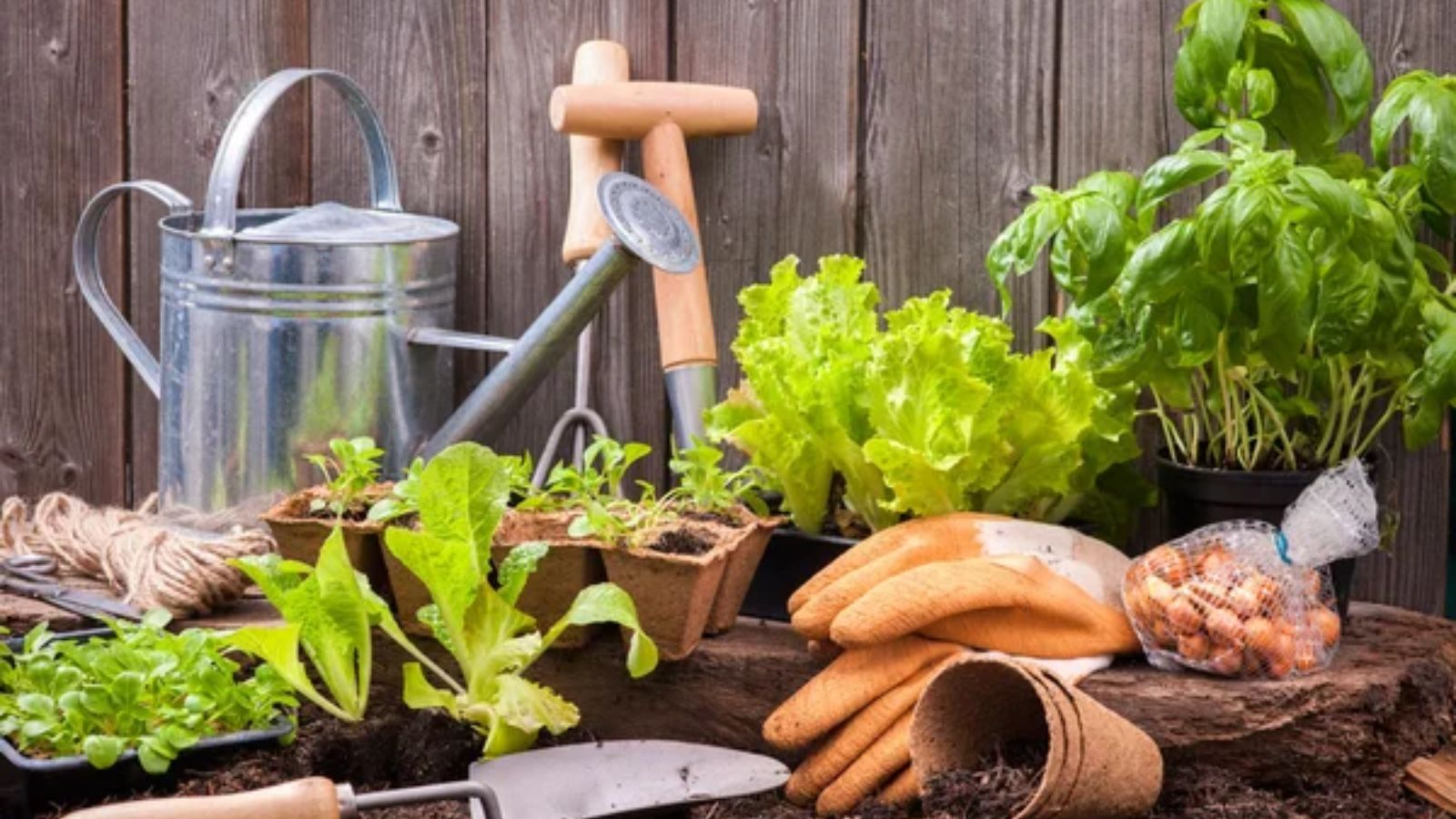 Home Gardening