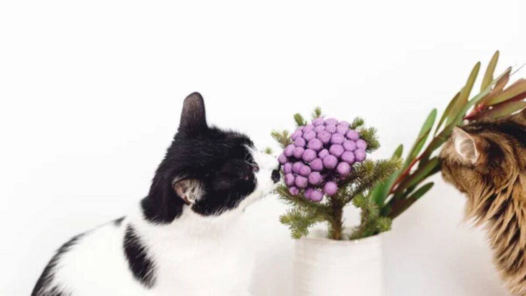18 Easy Ways to Keep Your Home Smelling Fresh With Pets