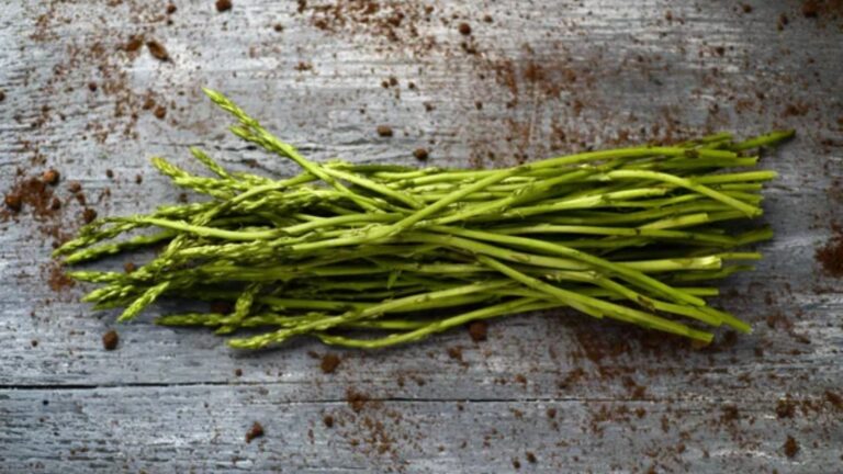 Think There’s Nothing to Forage Nearby? These 20 Foods Say Otherwise