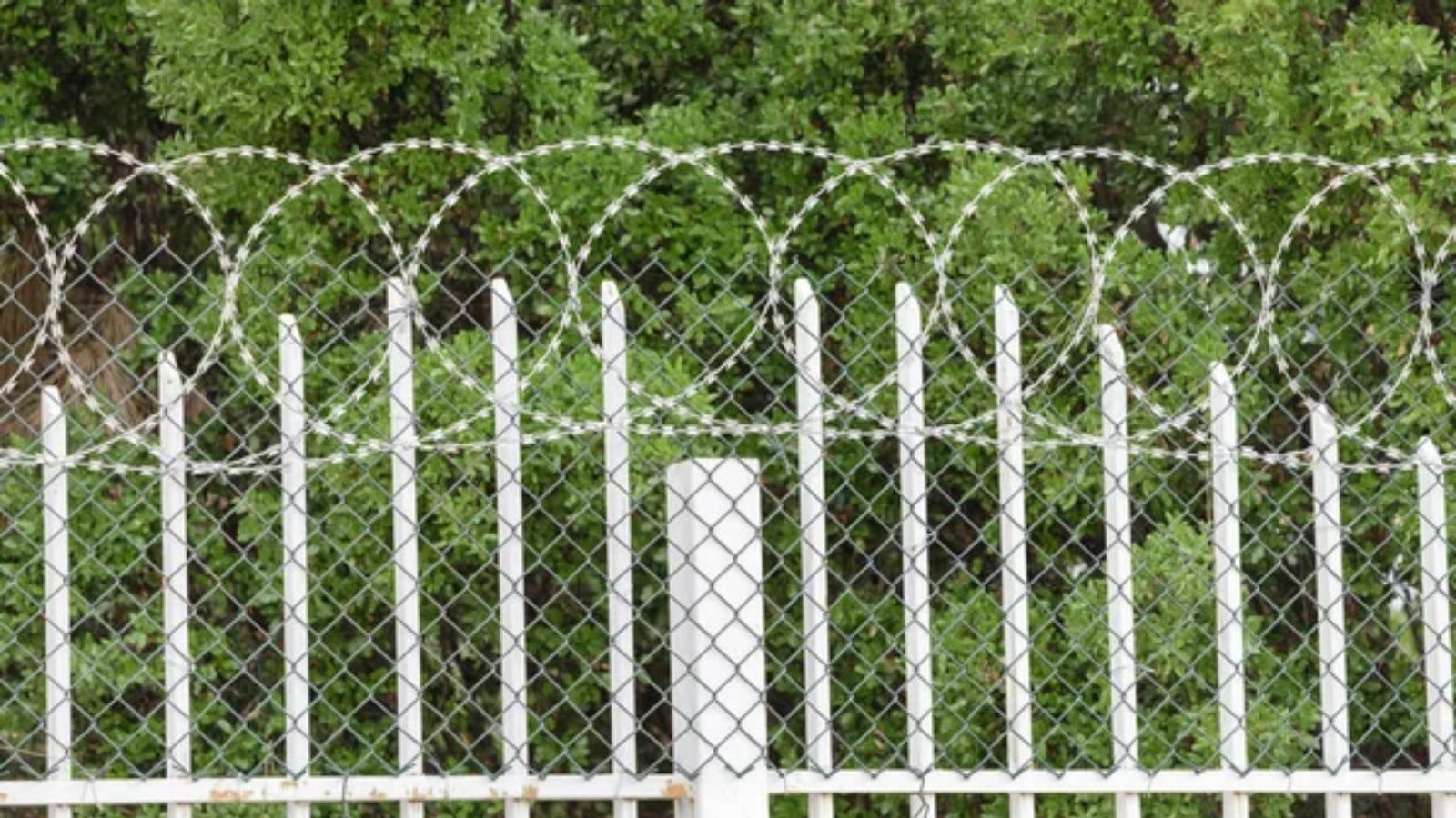 18 Smart Ways to Protect Your Chickens, Goats, and Livestock From Predators
