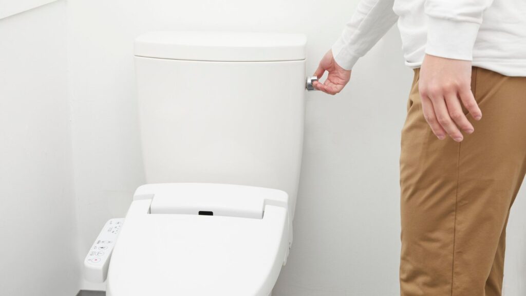 Around the Toilet
