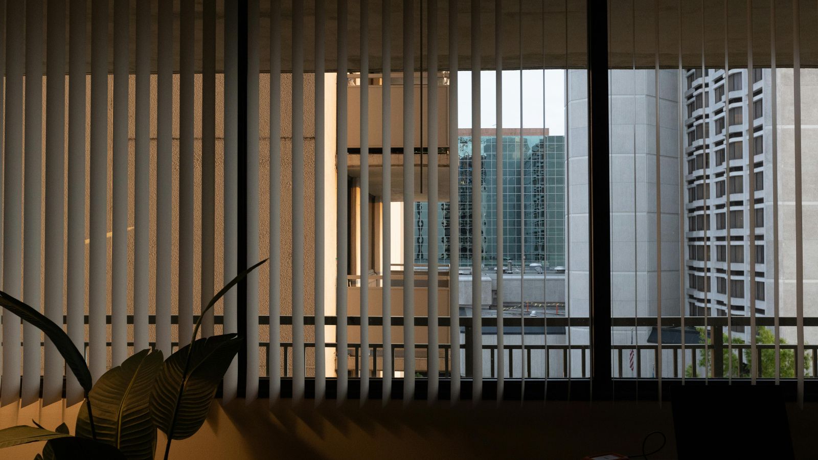 Blinds