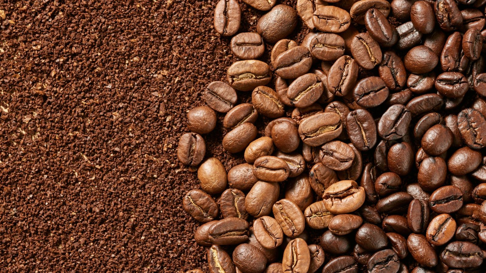 Coffee Grounds
