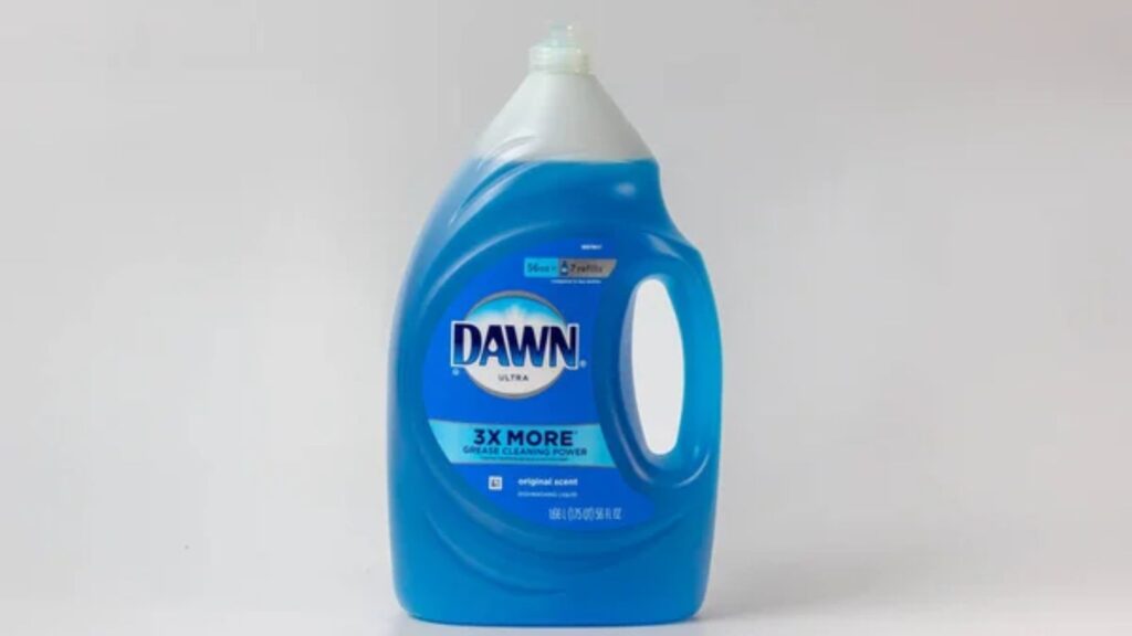 Dawn