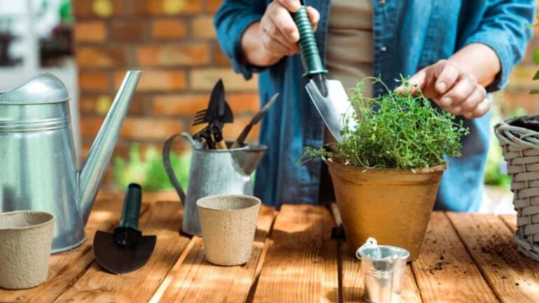 15 Unexpected Garage Sale Items Every Prepared Homeowner Should Look For