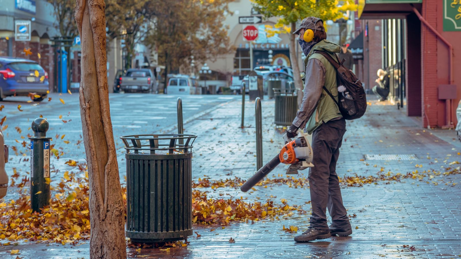 Leaf Blower