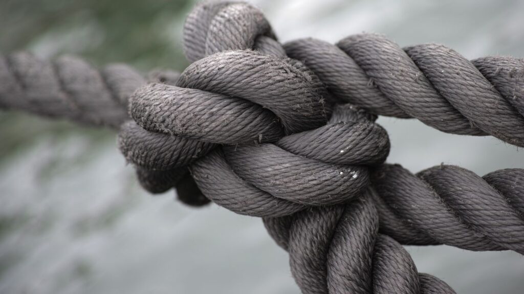 13 Survival Skills Everyone Should Know Before an Emergency Happens 1 Master a Knot