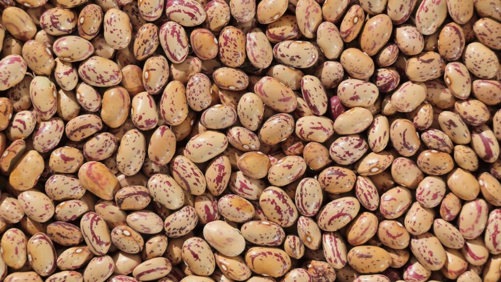 15 Stockpile Staples You Can Turn Into Hundreds of Different Meals 1 Pinto Beans