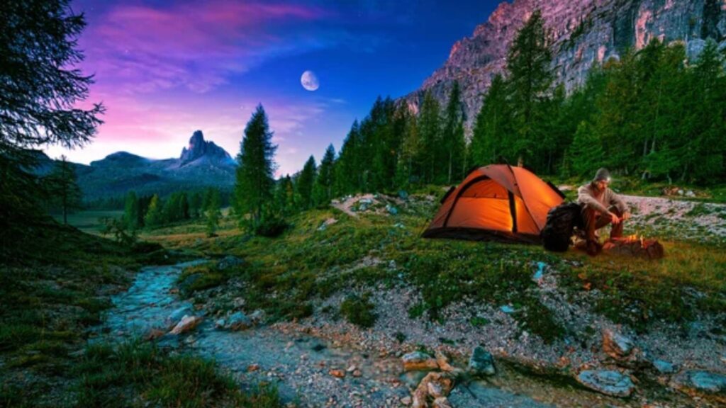 Wilderness
