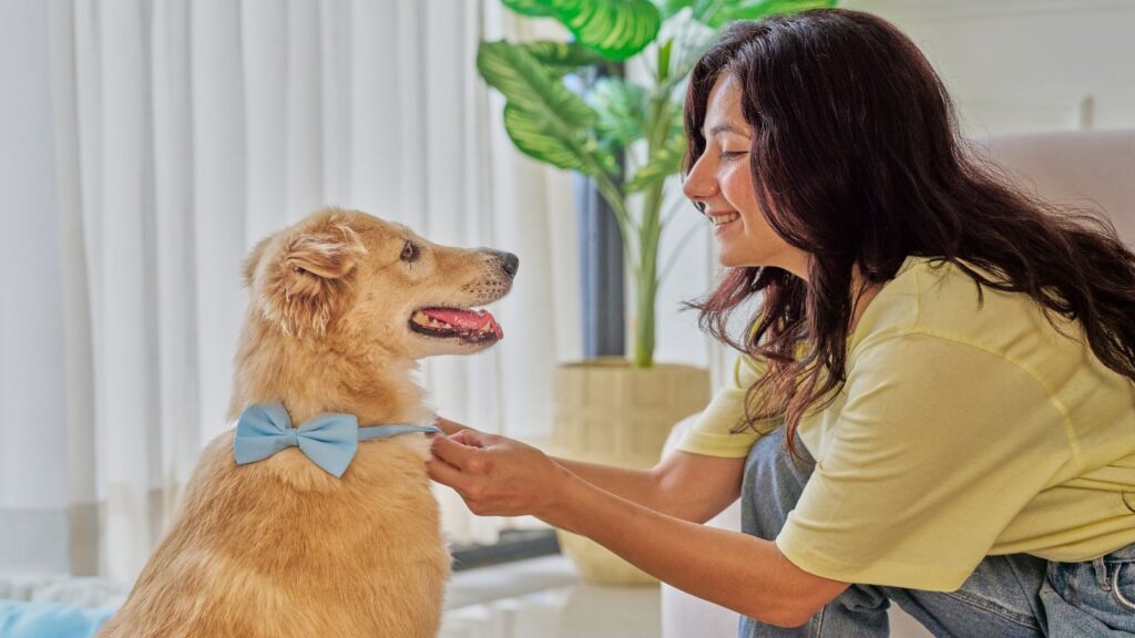 pet