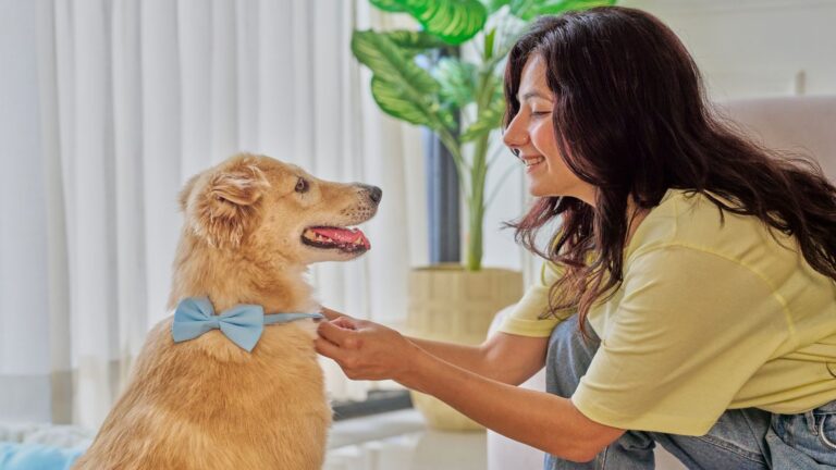 You’ve Gone Nose-Blind to Pet Odors—Here’s How to Freshen Your Home