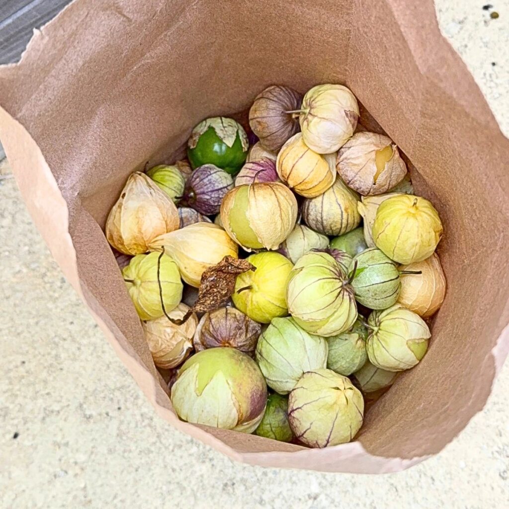 bag of tomatillo