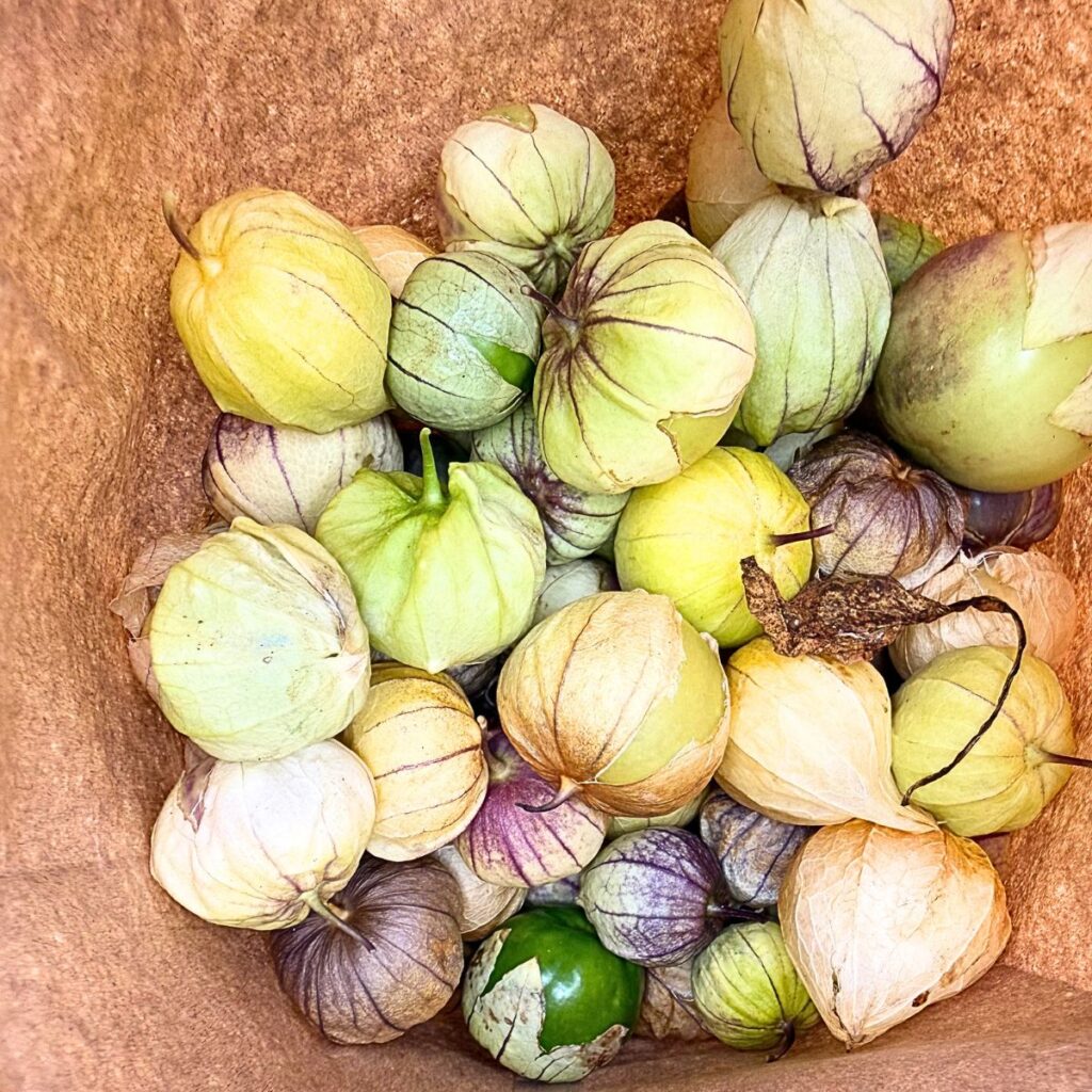 bag of tomatillo 2