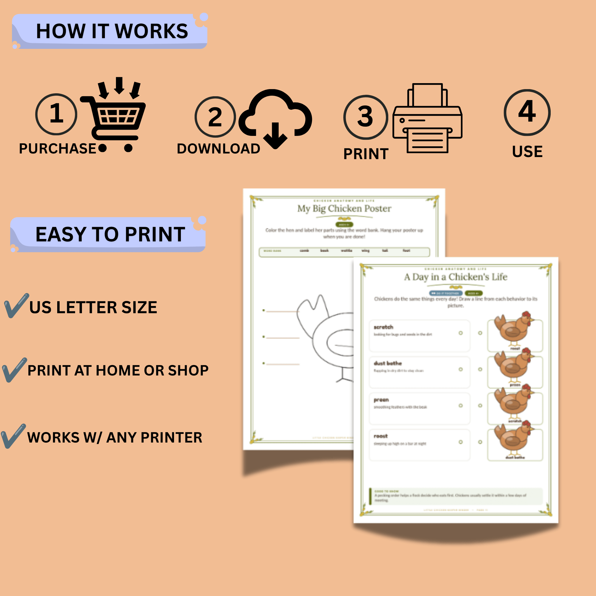Little Chicken Keeper Activity Binder – 48-Page Chicken Care & Farm Animal Printable Workbook 8 Little Chicken Keeper Activity Binder – 48-Page Chicken Care & Farm Animal Printable Workbook - Image 8