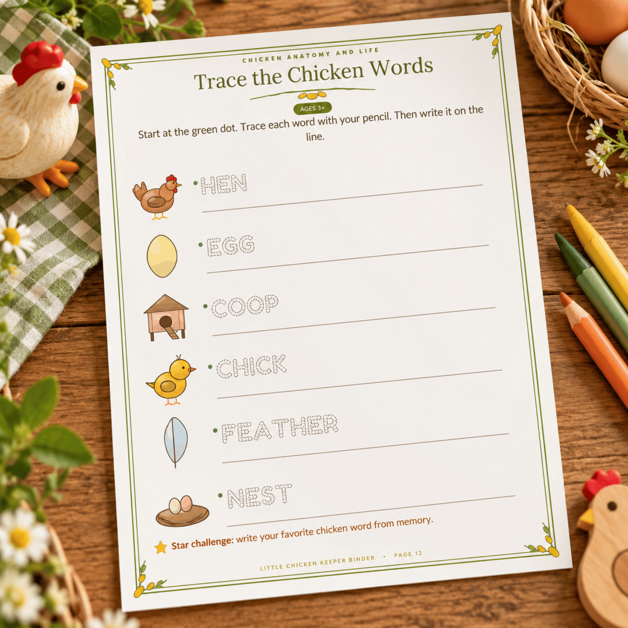 Little Chicken Keeper Activity Binder – 48-Page Chicken Care & Farm Animal Printable Workbook 7 Little Chicken Keeper Activity Binder – 48-Page Chicken Care & Farm Animal Printable Workbook - Image 7