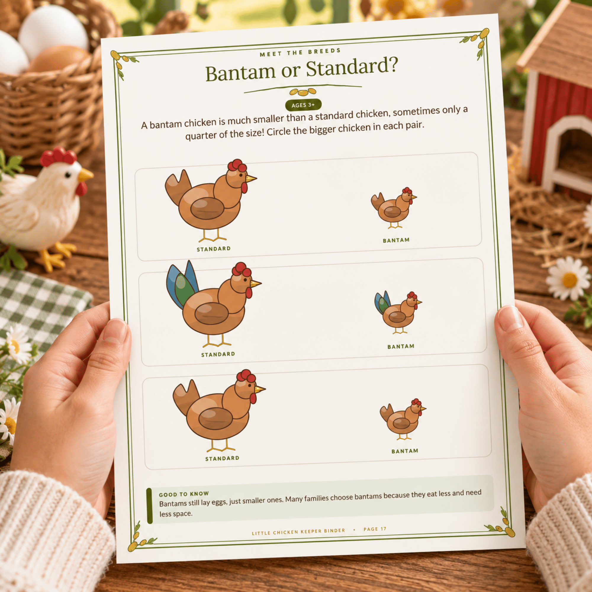 Little Chicken Keeper Activity Binder – 48-Page Chicken Care & Farm Animal Printable Workbook 6 Little Chicken Keeper Activity Binder – 48-Page Chicken Care & Farm Animal Printable Workbook - Image 6