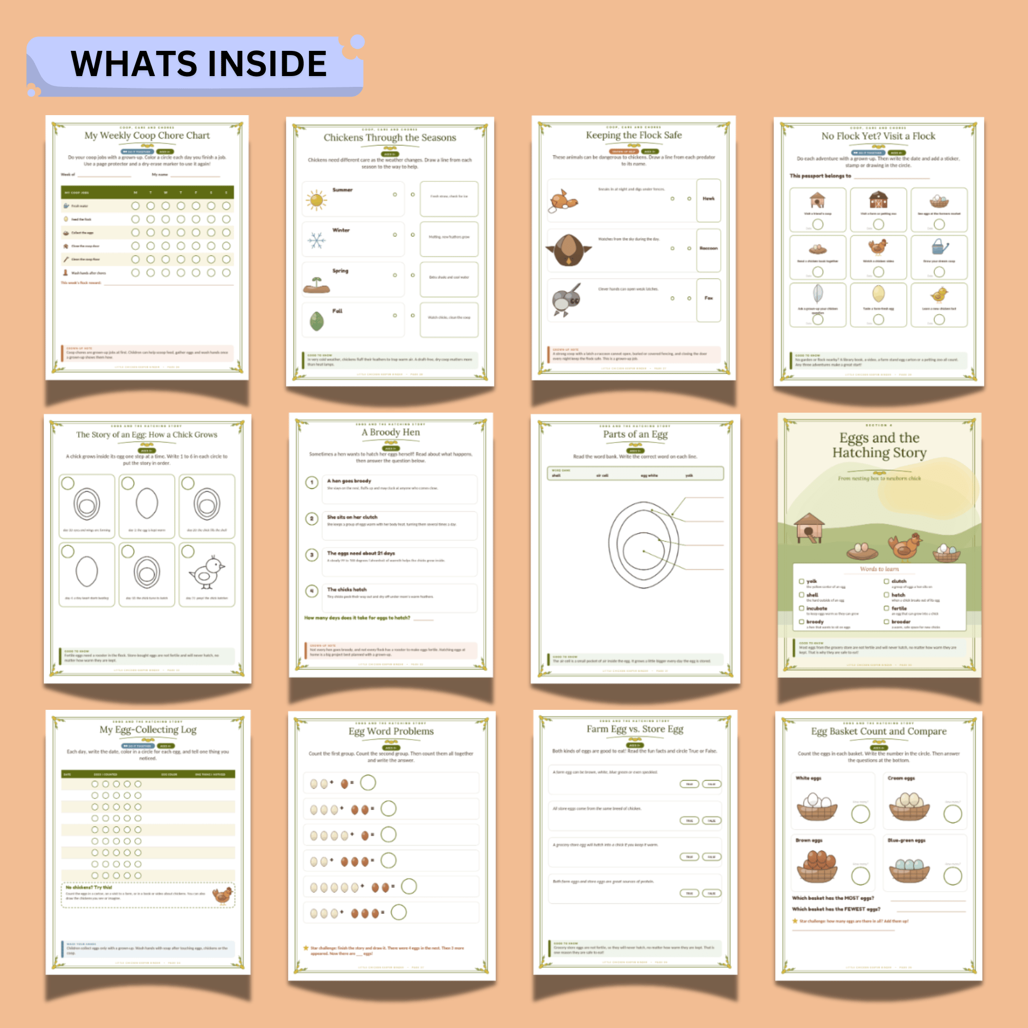 Little Chicken Keeper Activity Binder – 48-Page Chicken Care & Farm Animal Printable Workbook 5 Little Chicken Keeper Activity Binder – 48-Page Chicken Care & Farm Animal Printable Workbook - Image 5